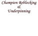 Champion Reblocking  Underpinning - Builders Victoria
